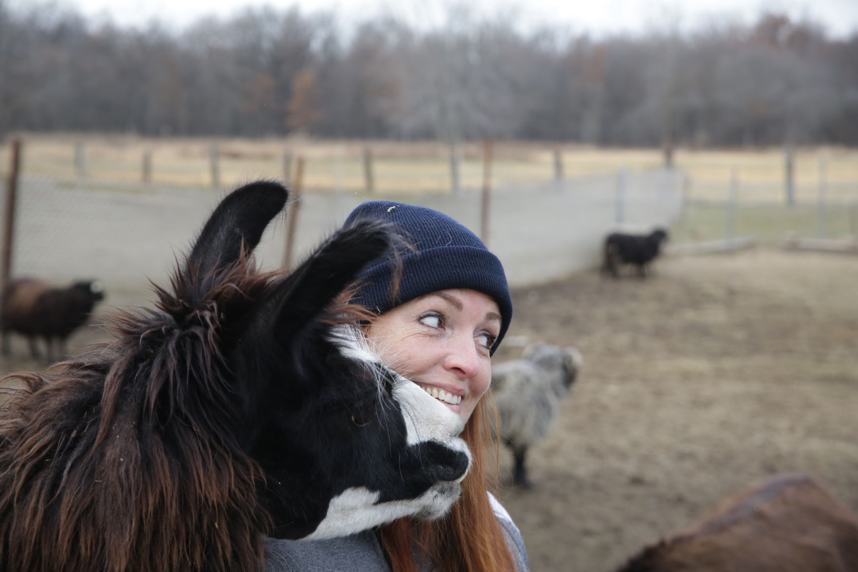 Erin's Farm animal sanctuary